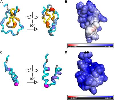 The EJC disassembly factor PYM is an intrinsically disordered protein and forms a fuzzy complex with RNA